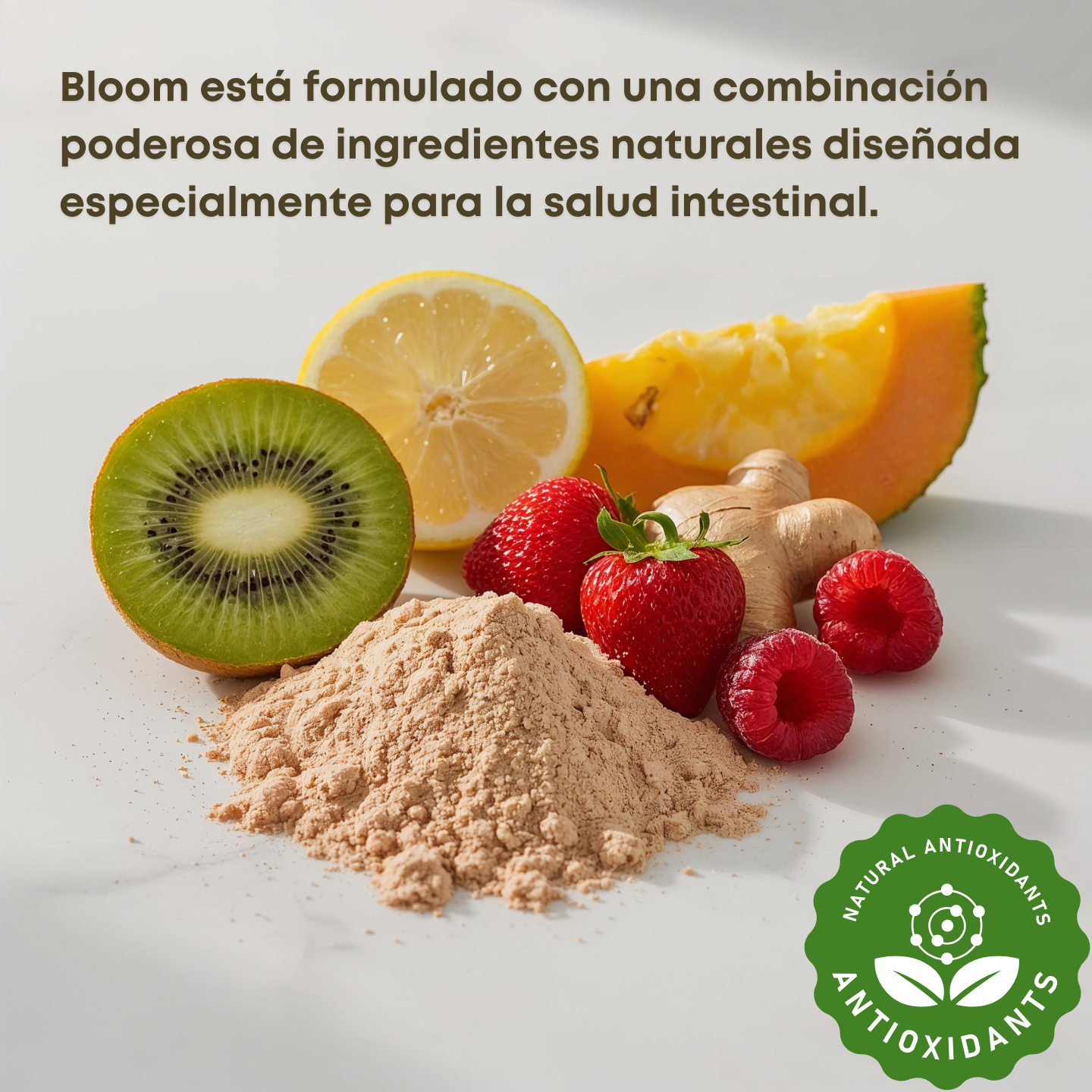 Bloom — Energía y Digestión Natural